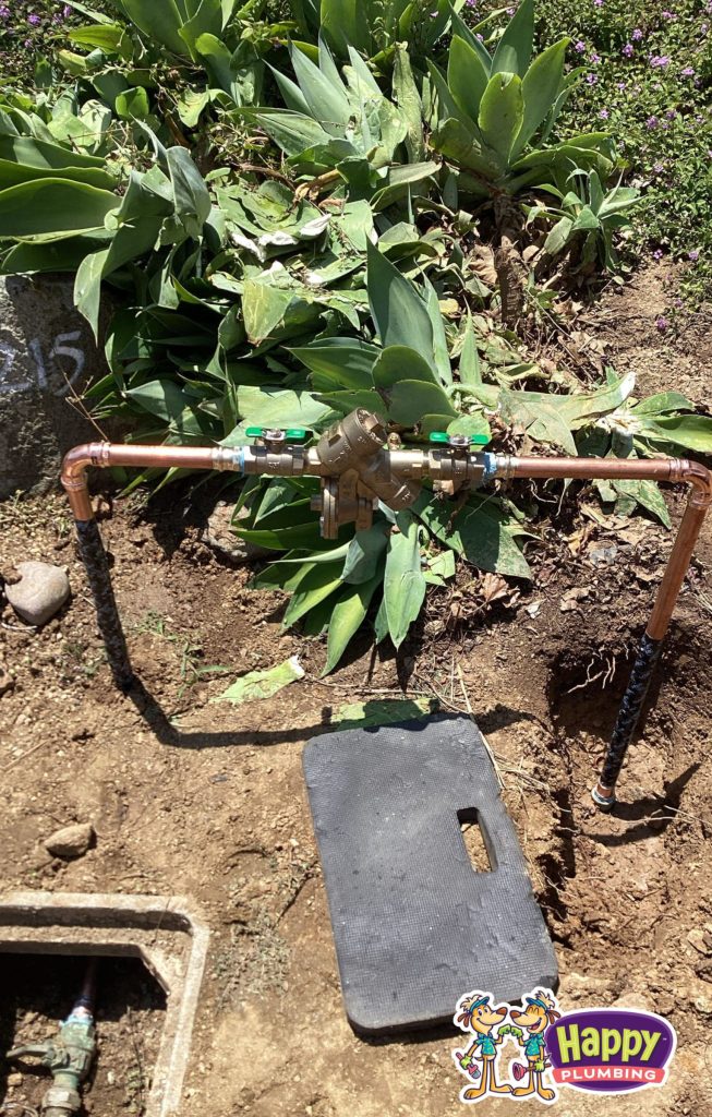 Project Photos