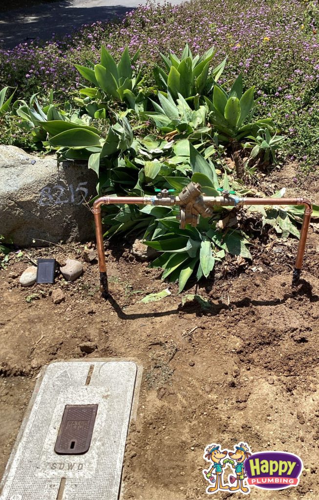 Project Photos