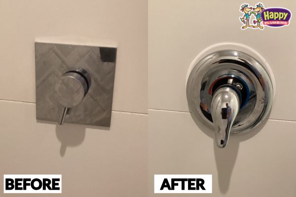 Shower Valve Replacement in Del Mar