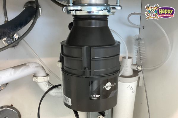 Toilet Valve Leak and Garbage Disposal Replacement in Lakeside