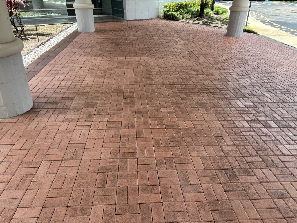 Before Photos