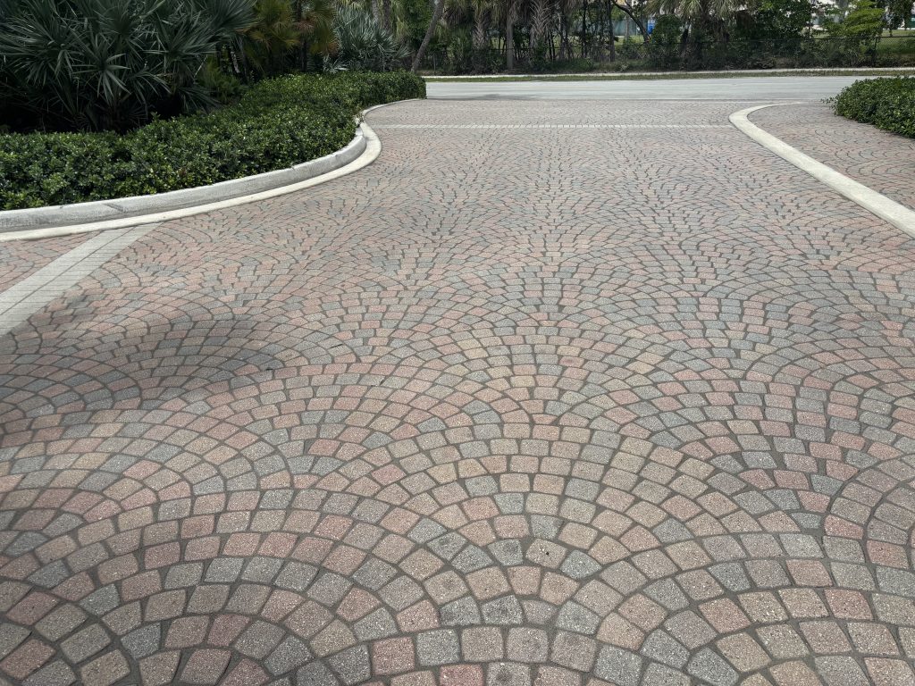 Before Photos