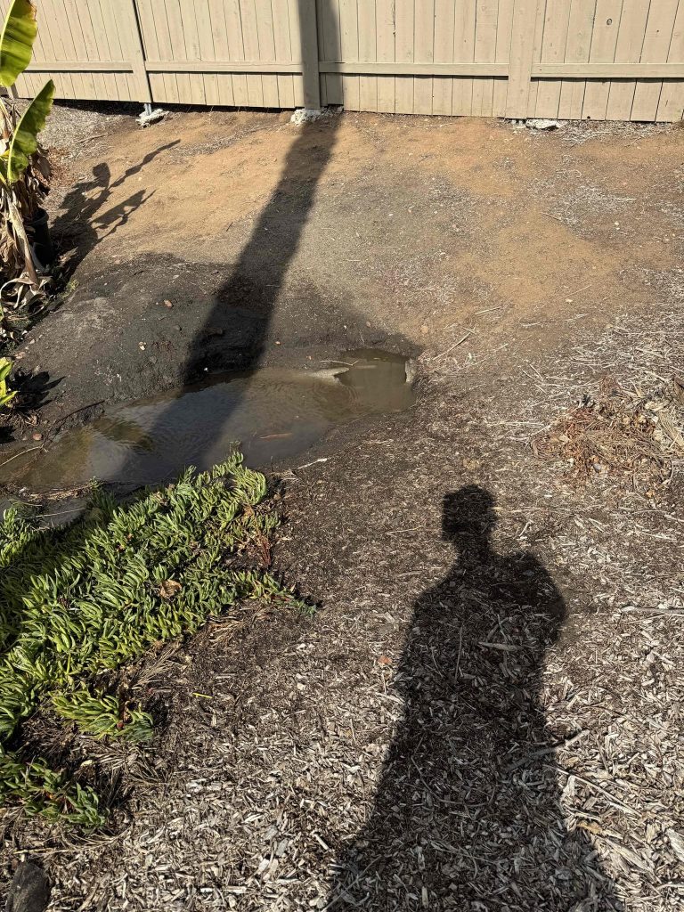 Project Photos