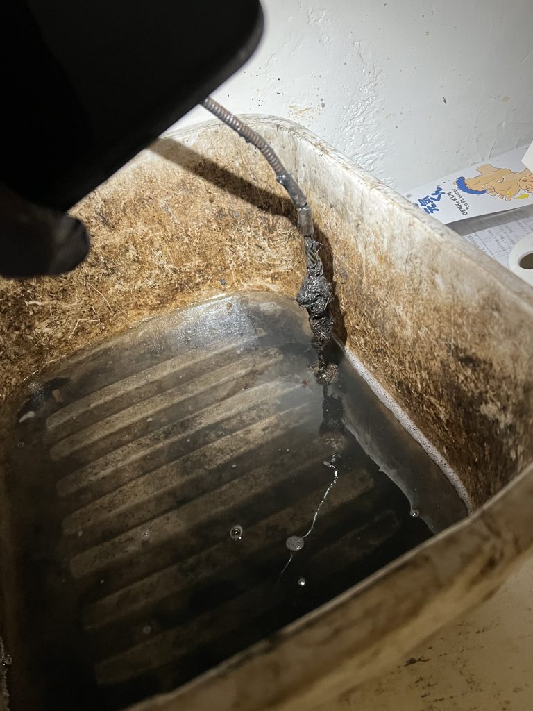 Project Photos