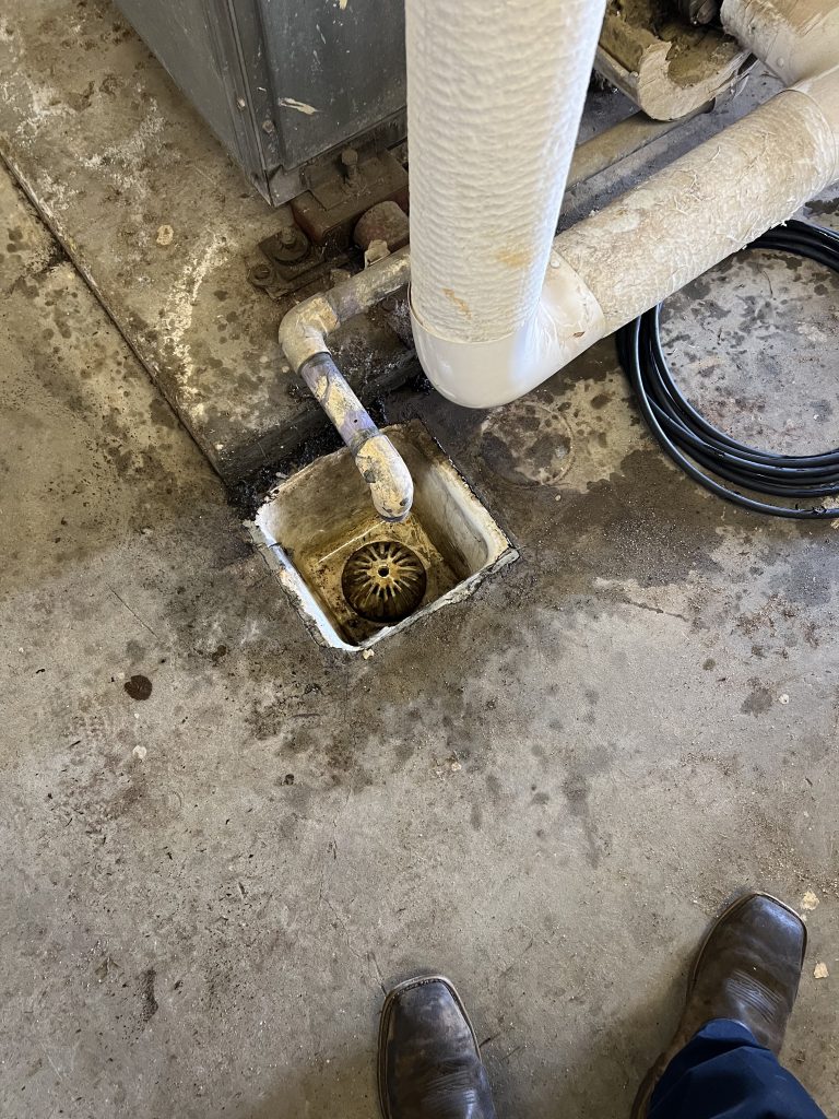 Project Photos