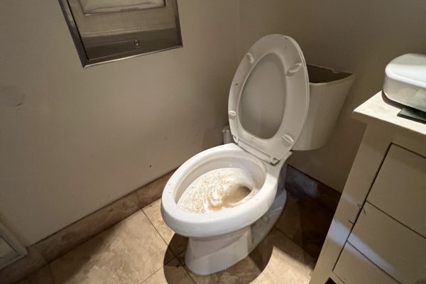 Commercial Toilet Drain Clearing in la Jolla, Ca