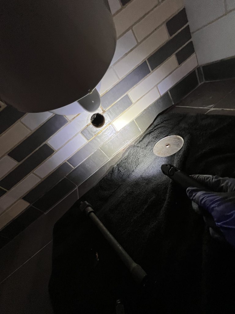 Project Photos