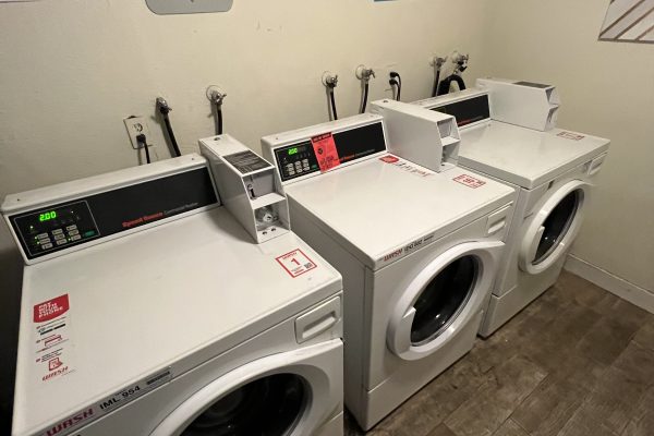 Commercial Laundry Room Drain Clearing in Lincoln Acres, Ca