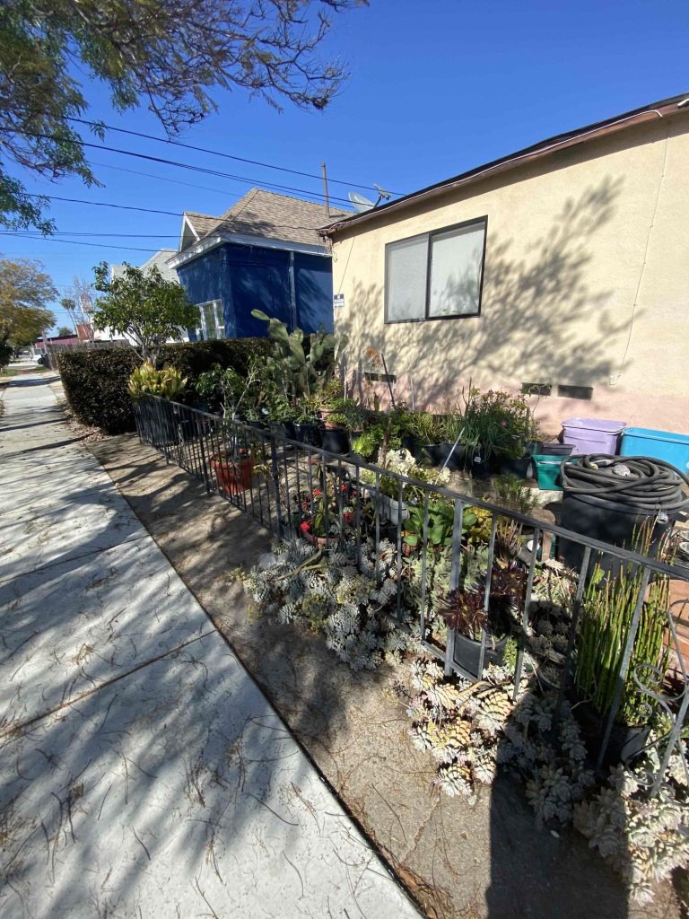 Project Photos