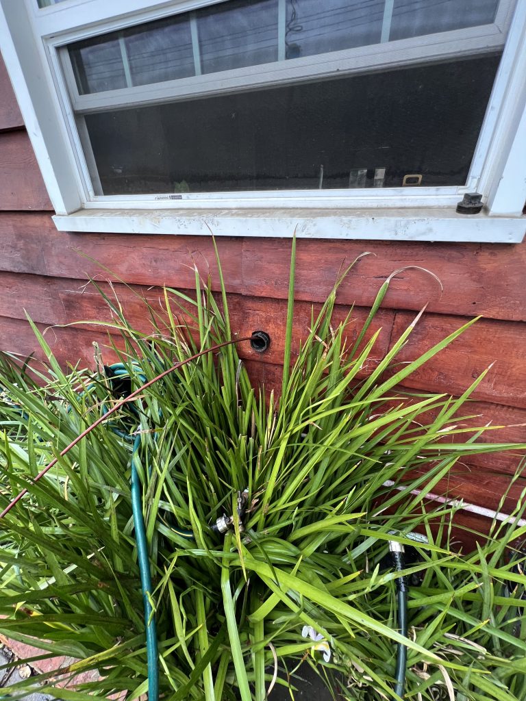 Project Photos