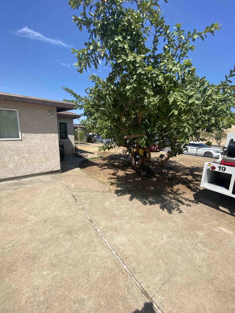 Project Photos