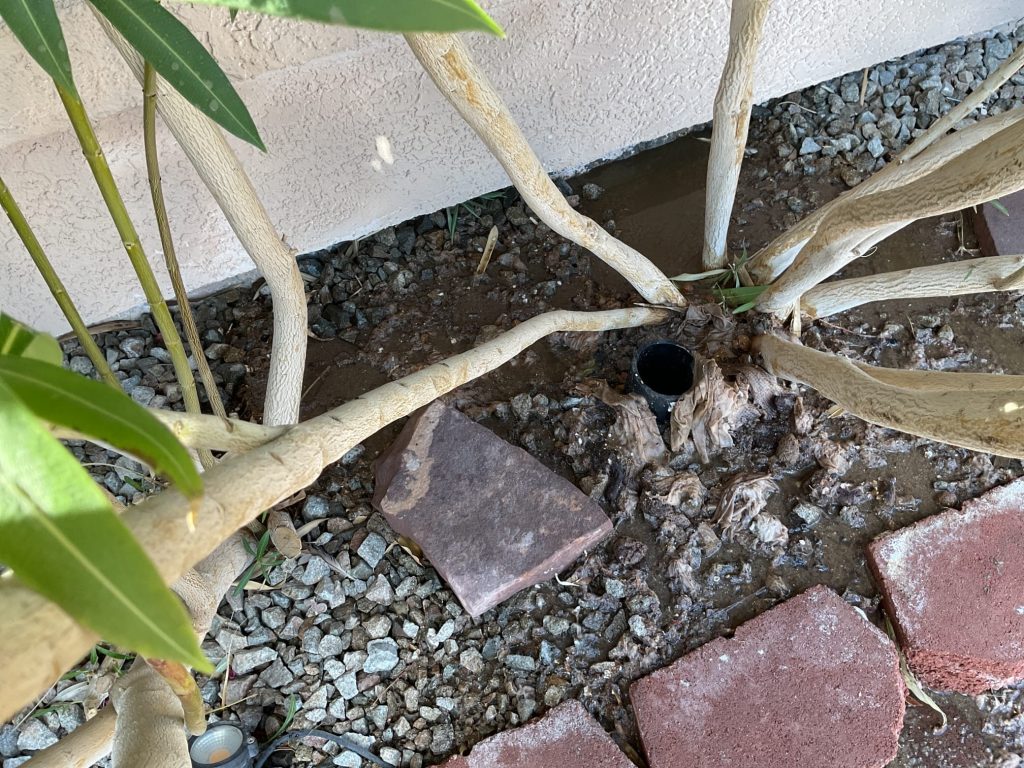 Project Photos