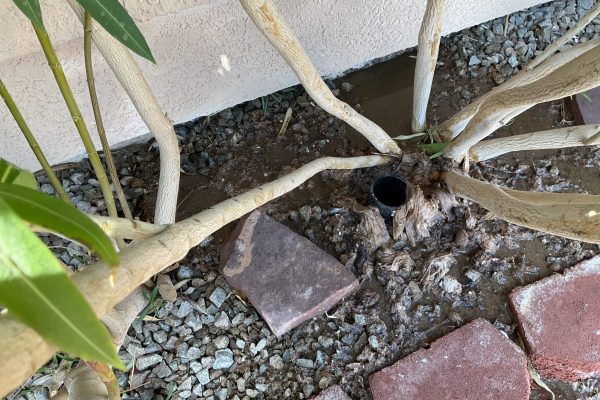 Main Line Drain Cleaning in Las Vegas, 89123