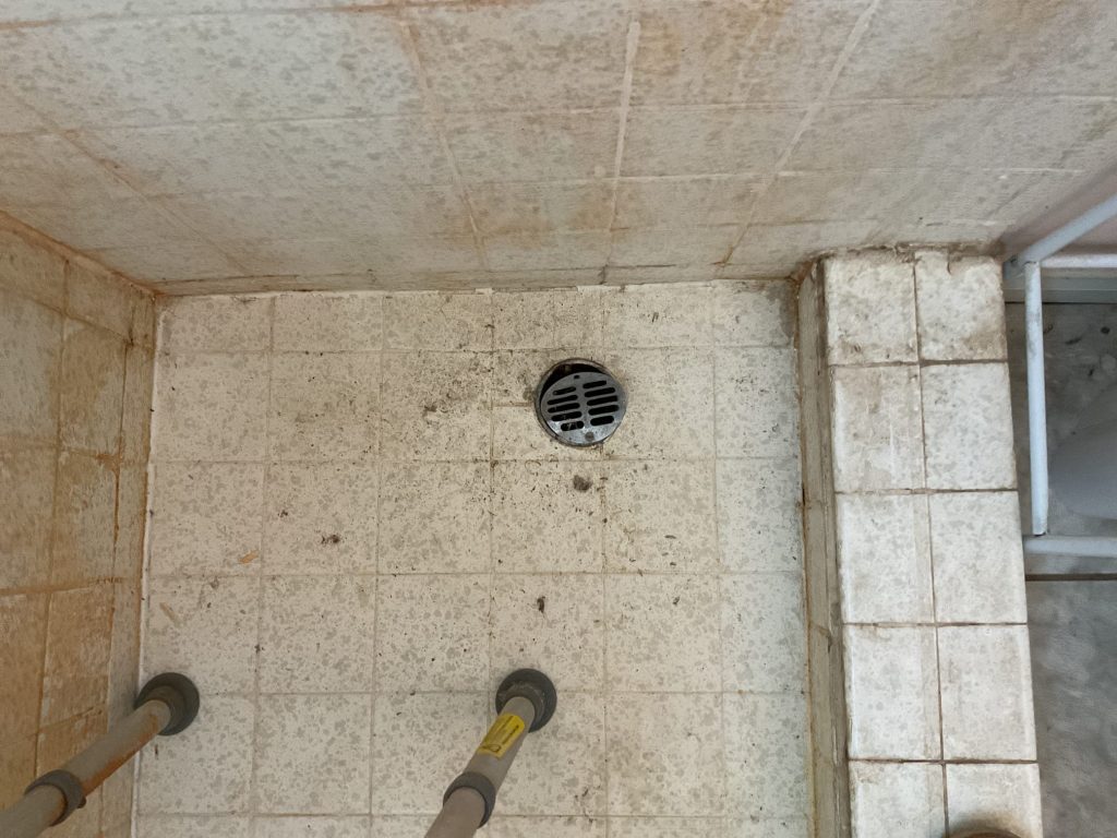 Project Photos