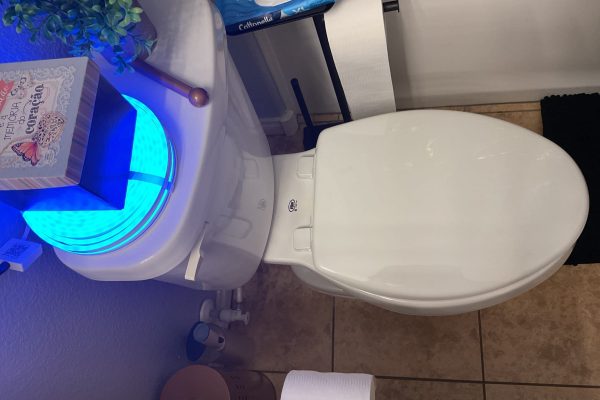 Toilet Replacement in Las Vegas, 89178