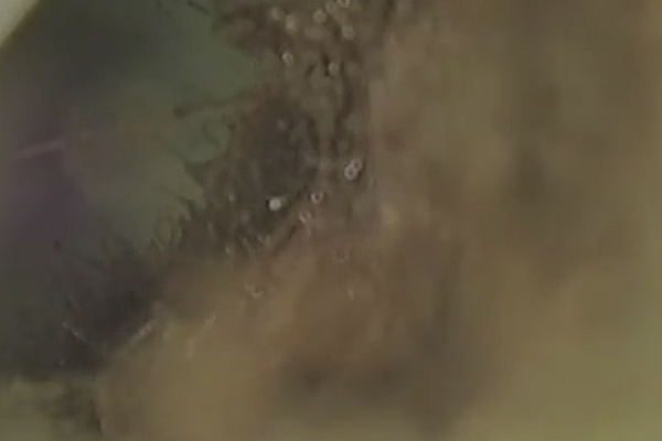 Sewer Camera Inspection in Las Vegas, 89146