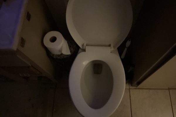 Clogged Toilet Drain Cleaning in Henderson, 89015