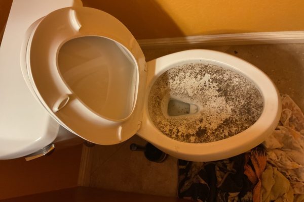 Toilet Backup In Las Vegas, 89148