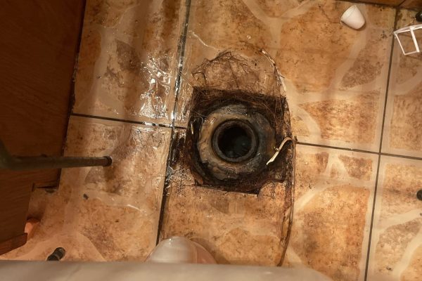 Toilet Leak Repair in Las Vegas, 89156
