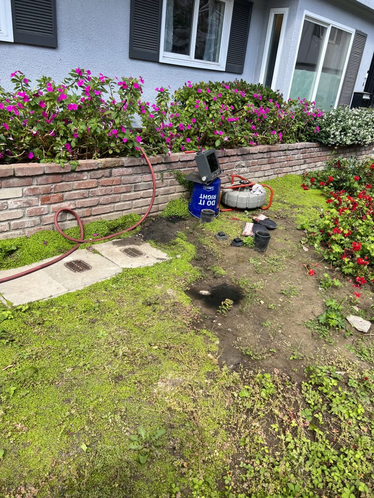 Before Photos
