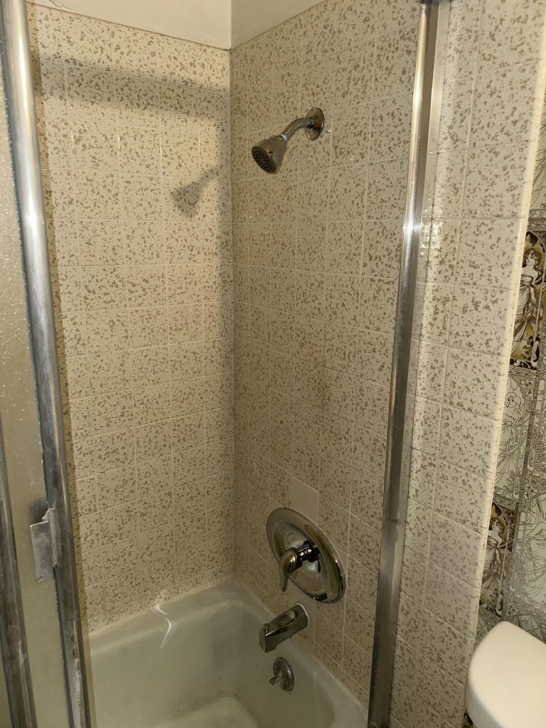 Before Photos