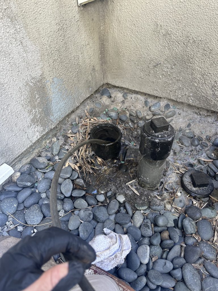 Before Photos