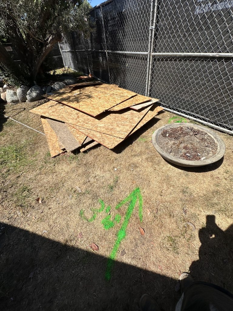 Before Photos