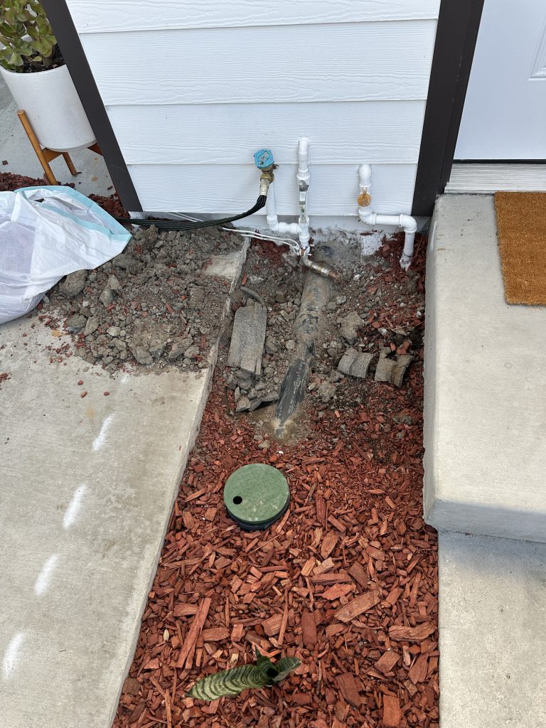 Before Photos