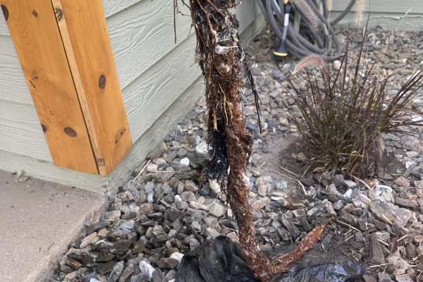 Drain Cleaning in Long Beach, CA