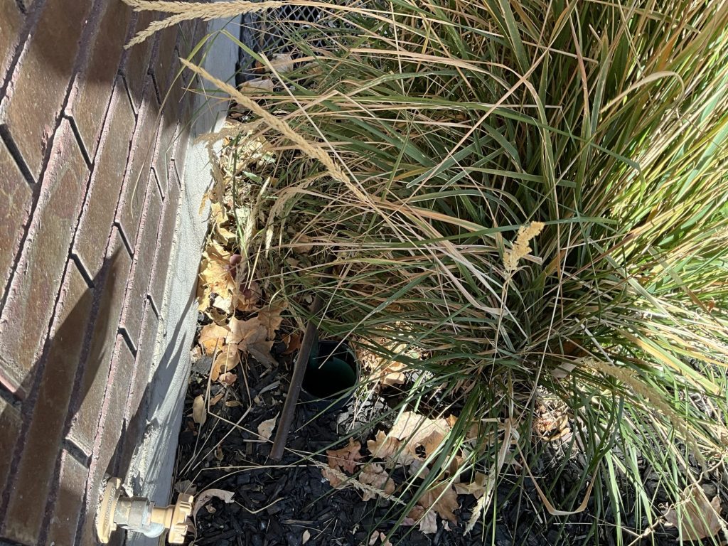 Project Photos