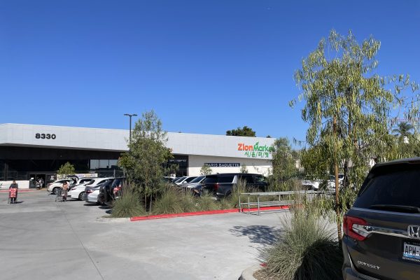 Commercial Plumbing Project In San Diego