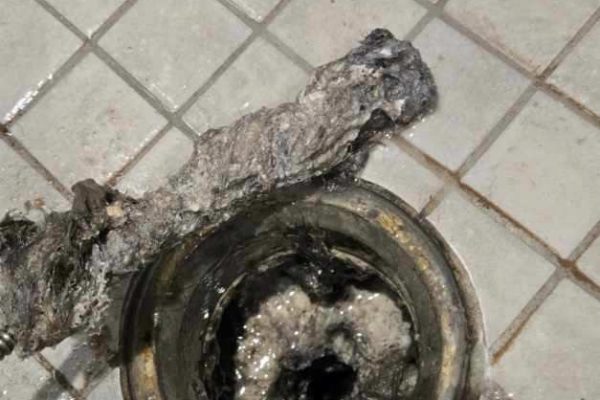 Shower Drain Cleaning in Temecula, CA
