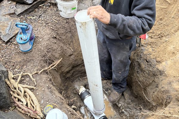 Sewer Drain Clogged With Roots In San Diego, CA