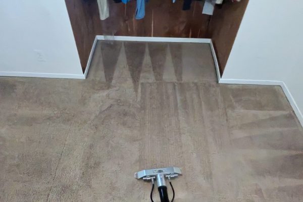 Pet Urine Treatment in Costa Mesa, CA