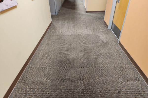 Commercial Carpet Cleaning in Cypress, CA