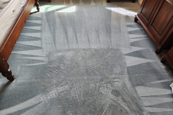 Cleaning A 30 Year Old Carpet in Laguna Niguel, CA