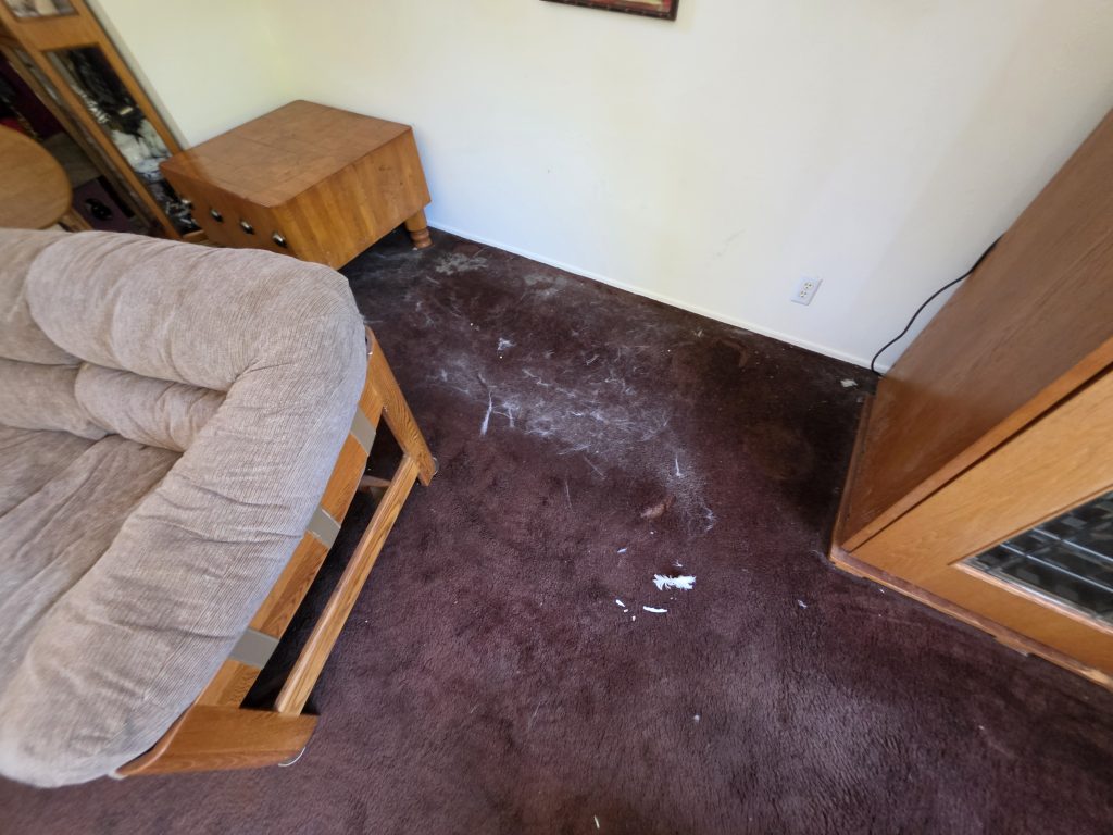 Project Photos