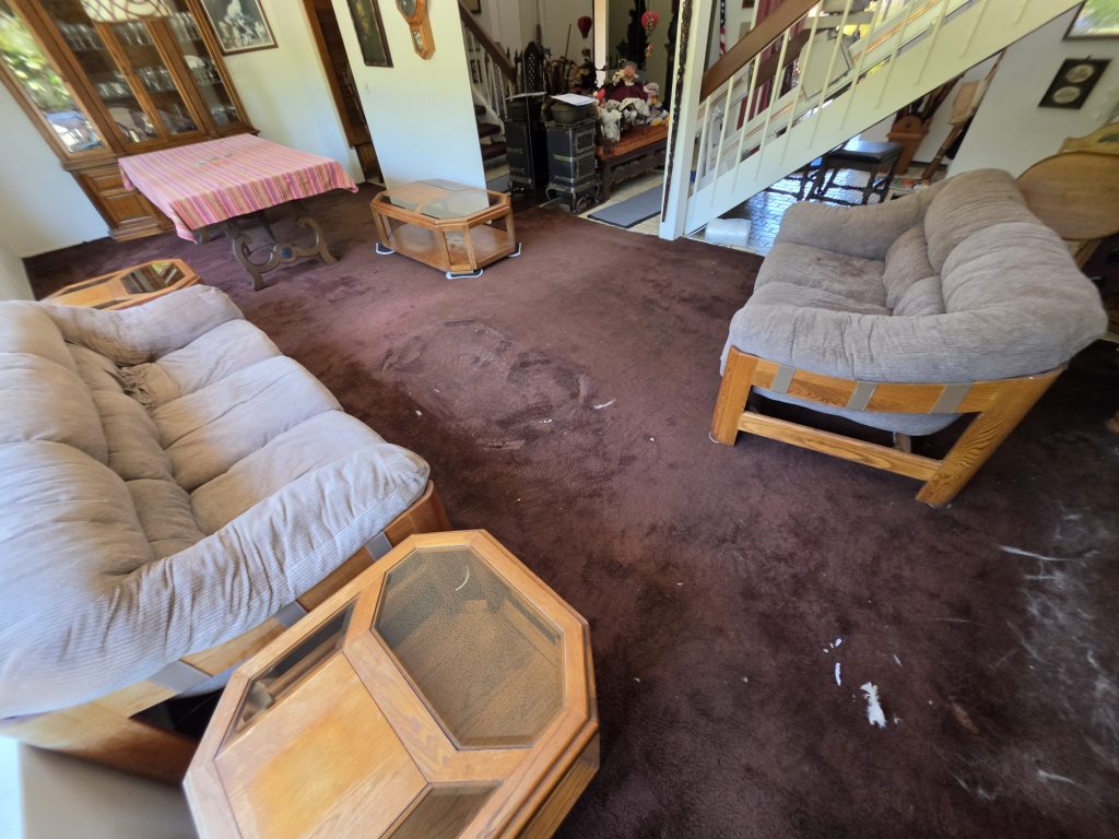 Project Photos