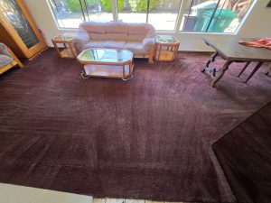 After Photos