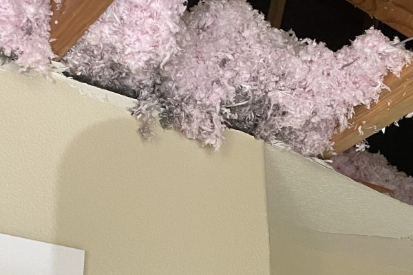 Recent Projects 4 Water Damage Mitigation Tigard, Oregon