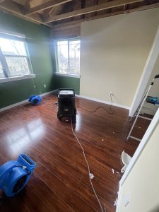 After Photos