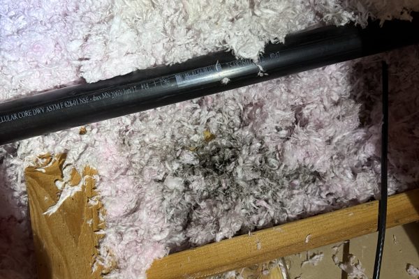 Home 12 Mold Removal in West Linn, OR