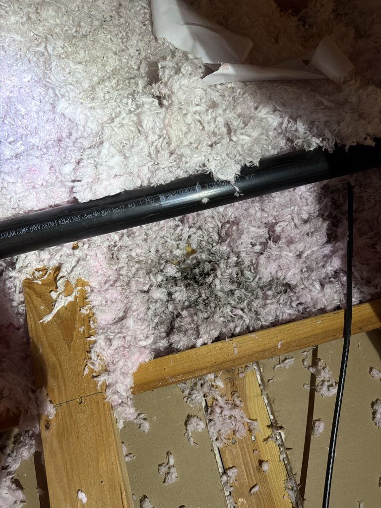 Project Photos