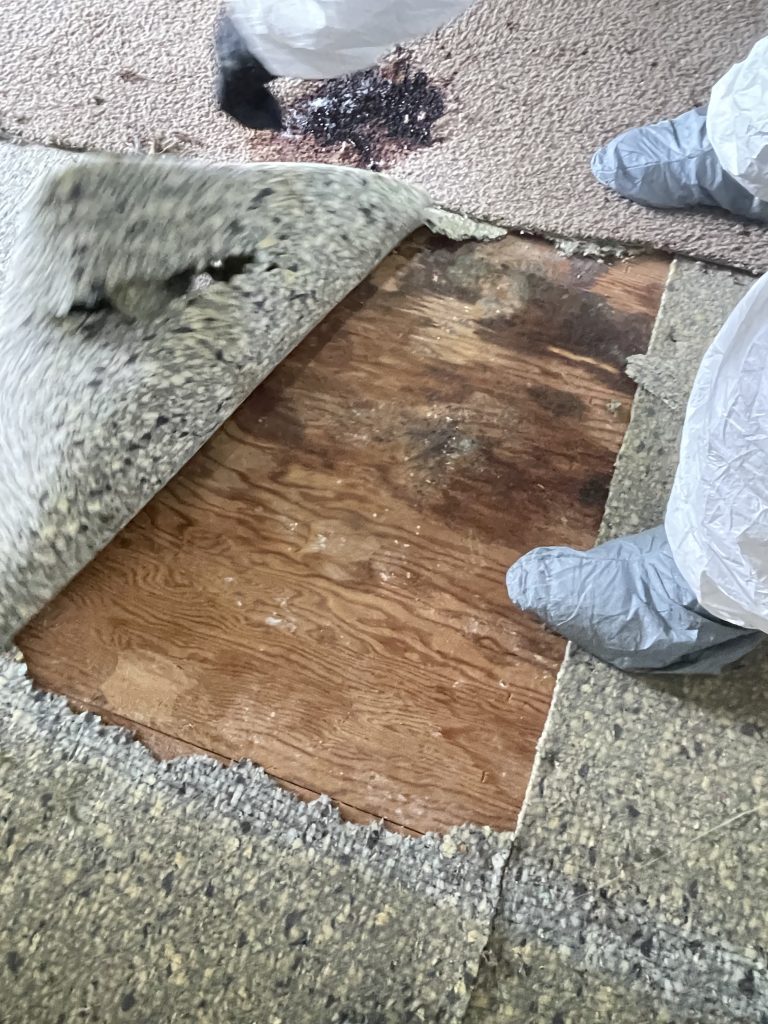 Project Photos
