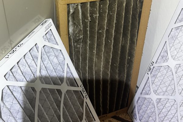 Replace Air filter for Senior Bay Area