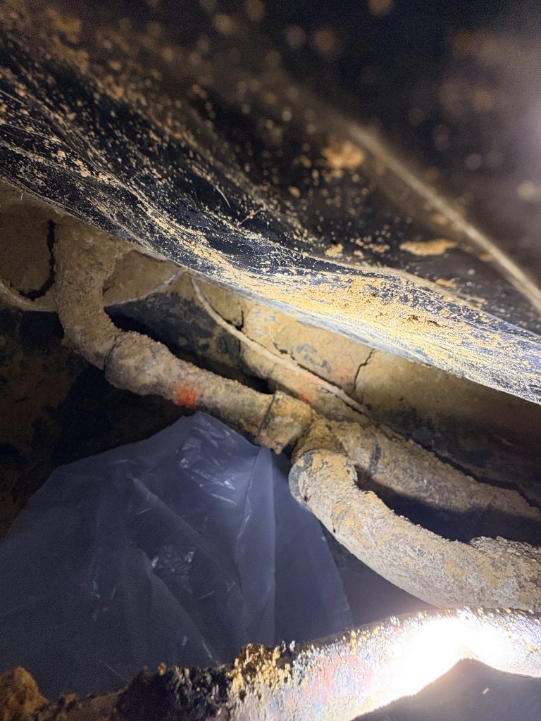 Project Photos