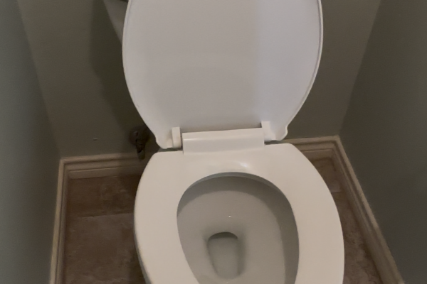 Bidet Installation in Carrollton, Texas
