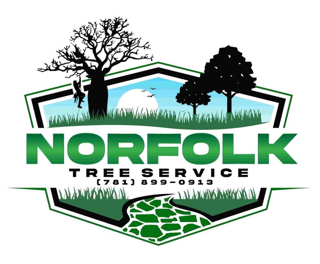 Norfolk Tree Service