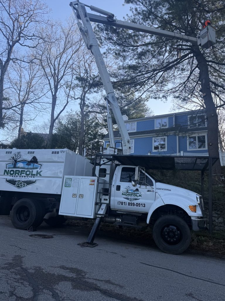 Project Photos