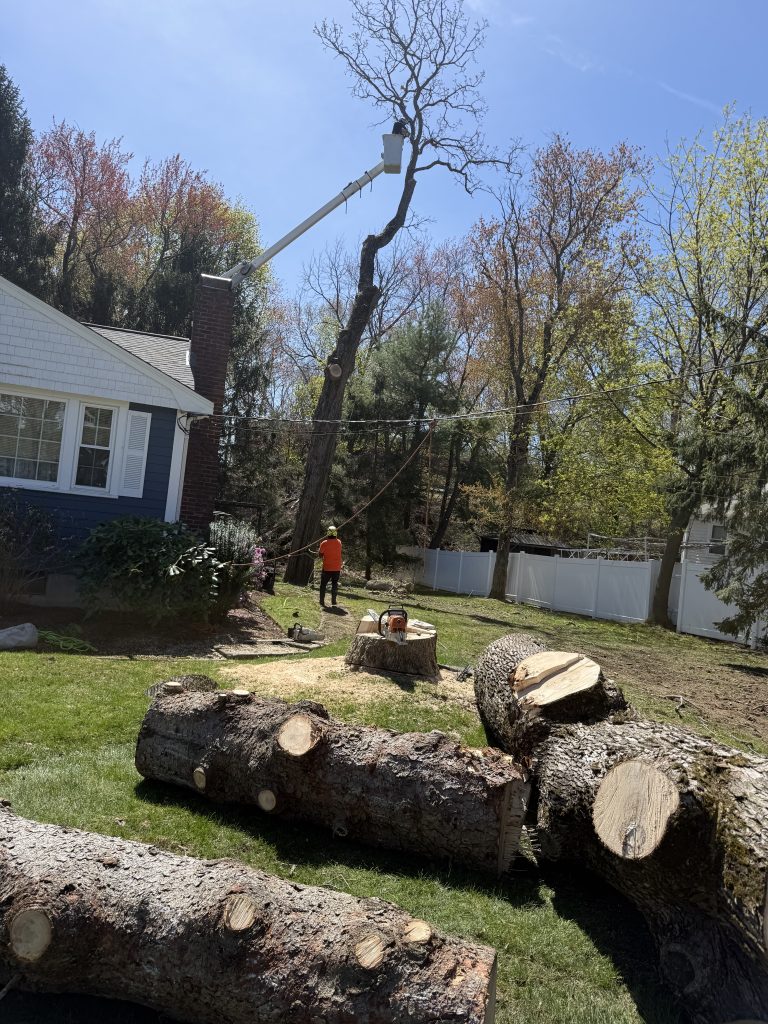Project Photos